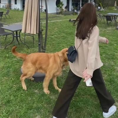好戏一出